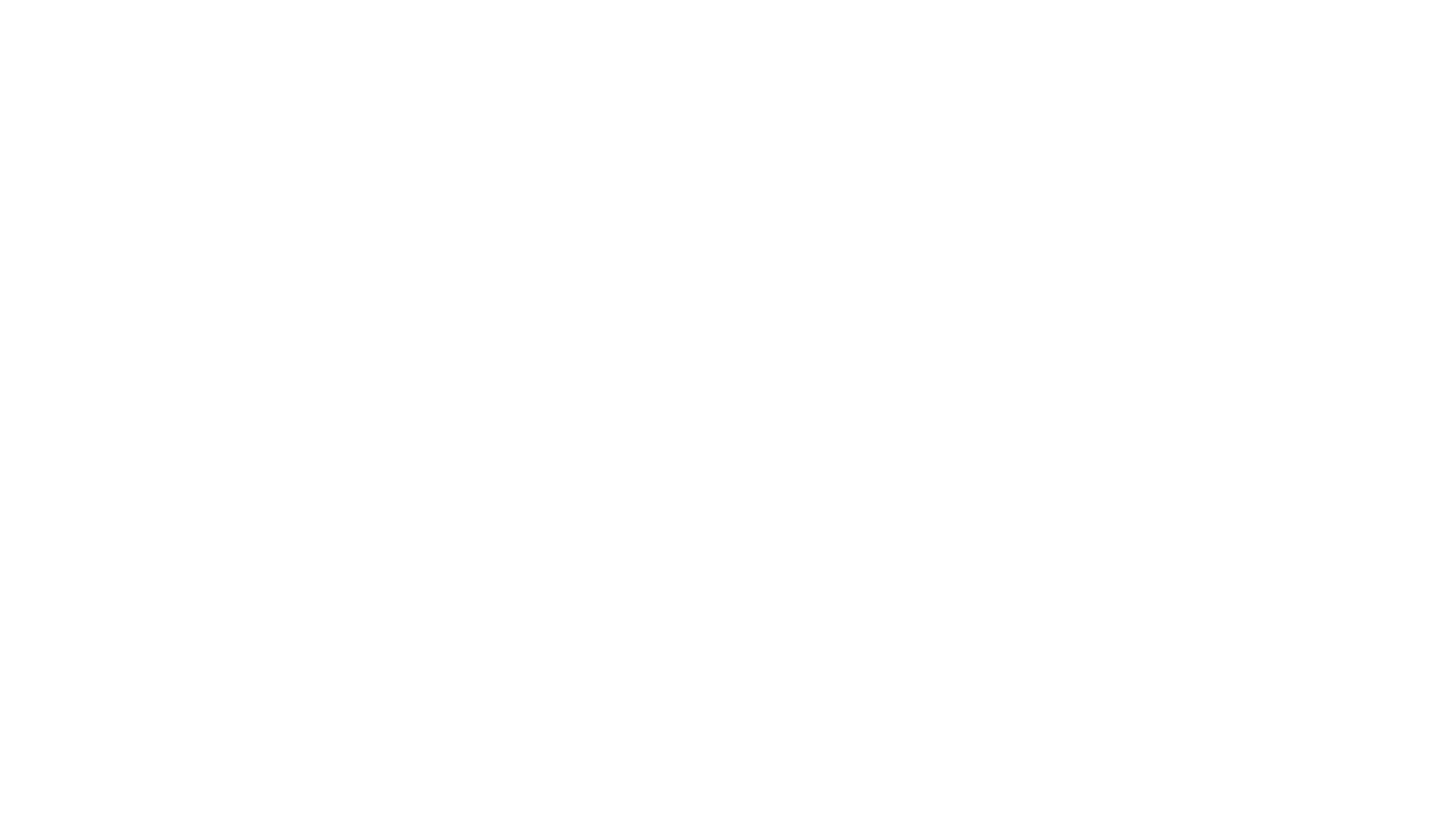 Logo_white_1